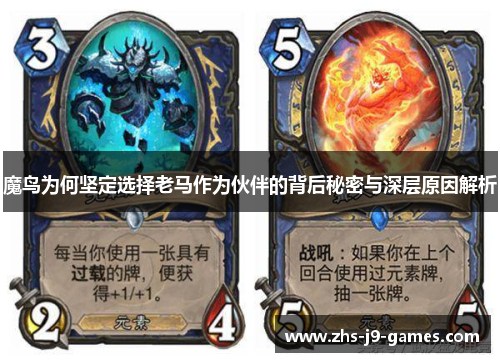 魔鸟为何坚定选择老马作为伙伴的背后秘密与深层原因解析 魔鸟为何坚定选择老马作为伙伴的背后秘密与深层原因解析