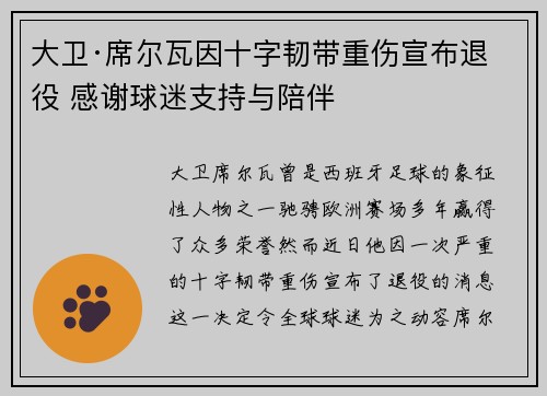 大卫·席尔瓦因十字韧带重伤宣布退役 感谢球迷支持与陪伴